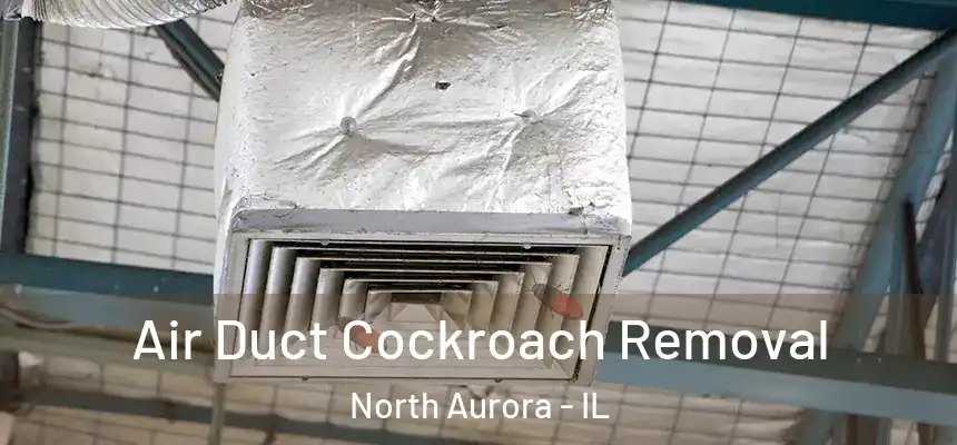  Air Duct Cockroach Removal North Aurora - IL