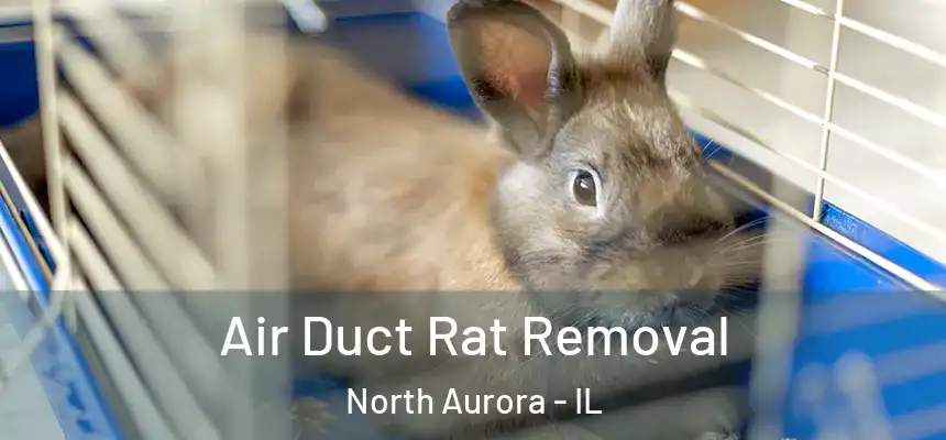  Air Duct Rat Removal North Aurora - IL