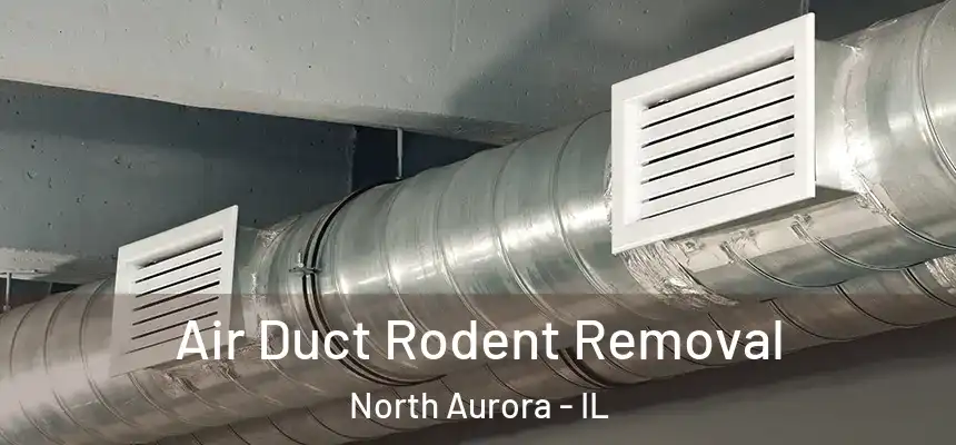  Air Duct Rodent Removal North Aurora - IL