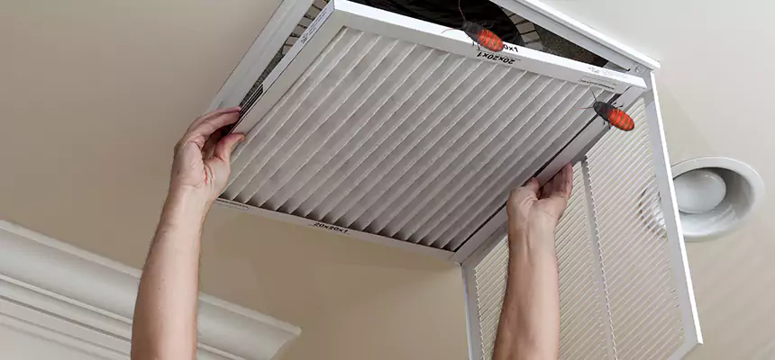 Preventive Cockroach-Proofing for Ducts in North Aurora