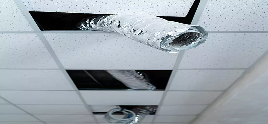 Our Air Duct Pet Hair Removal Services in North Aurora, IL