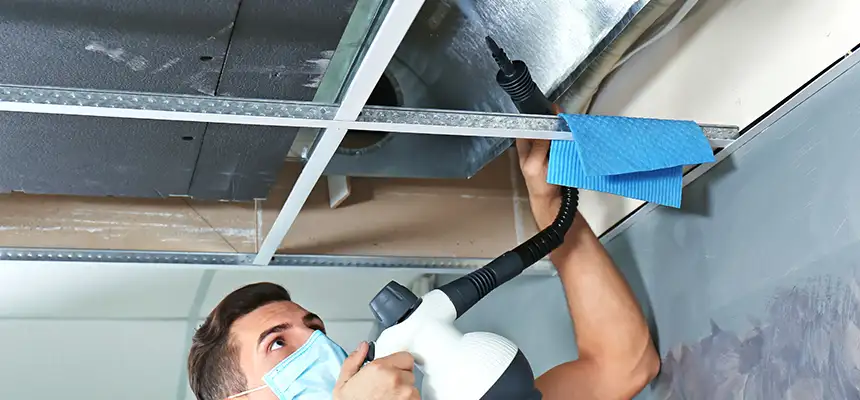 Our Air Duct Rodent Removal Services in North Aurora, IL