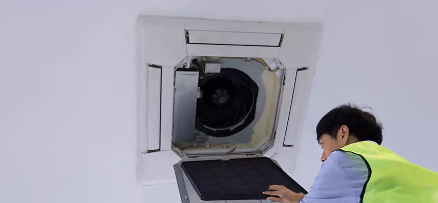 Our Dryer Vent Sanitization Service Services in North Aurora, IL
