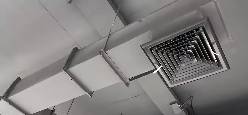 Our Rodent Droppings In Vents Services in North Aurora, IL