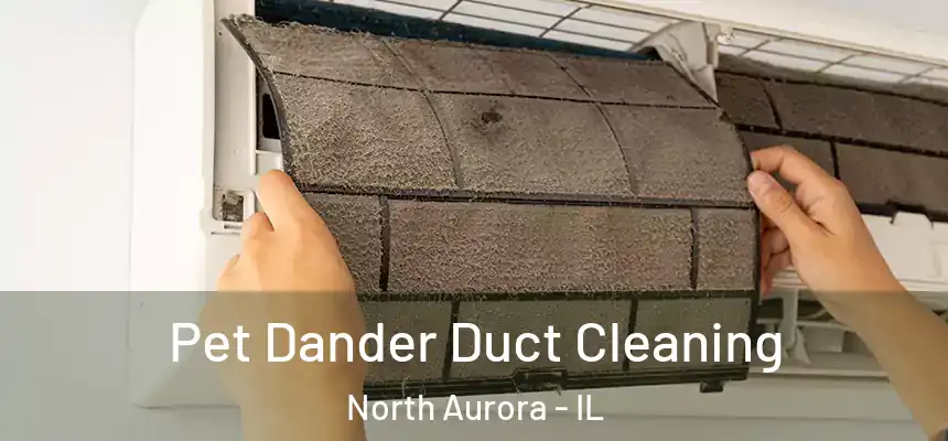  Pet Dander Duct Cleaning North Aurora - IL