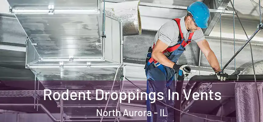  Rodent Droppings In Vents North Aurora - IL