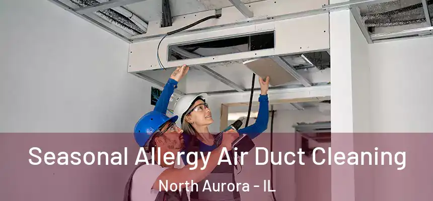  Seasonal Allergy Air Duct Cleaning North Aurora - IL