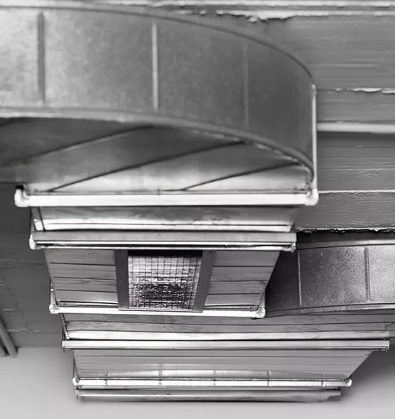 Professional Air Duct Pet Hair Removal in North Aurora, IL