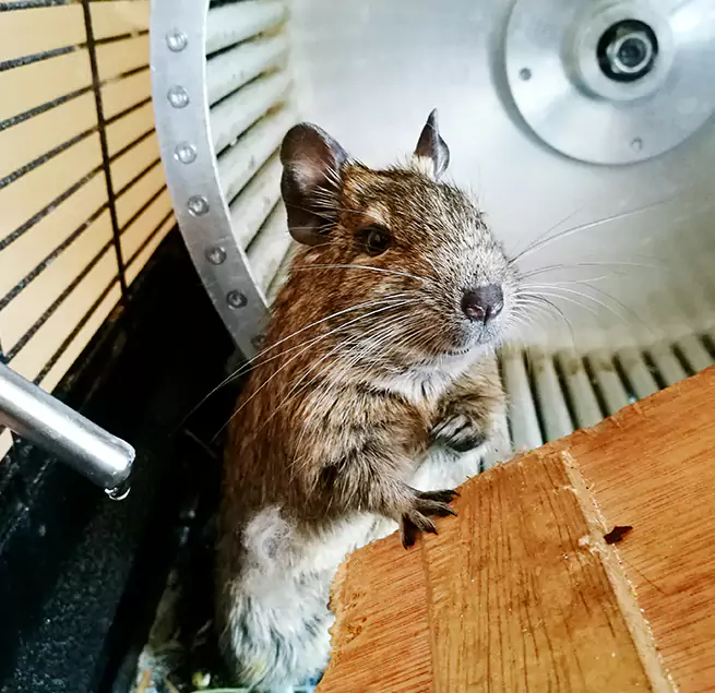 Why Homeowners & Businesses Trust Us North Aurora, IL?